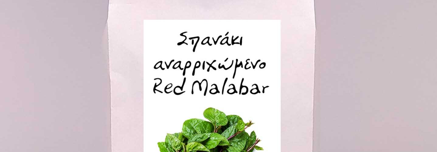 Σπανάκι αναρριχώμενο Red Malabar παραδοσιακό (φάκελος 1 γρ)