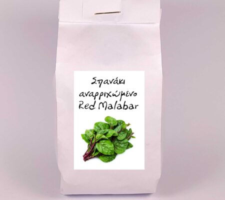 Σπανάκι αναρριχώμενο Red Malabar παραδοσιακό (φάκελος 1 γρ)