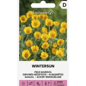 Άγρια καλέντουλα Wintersun (hobby bag 2 γρ)