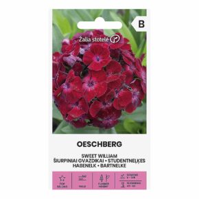 Γαρύφαλλο του ποιητή Oeschberg (hobby bag 1 γρ)