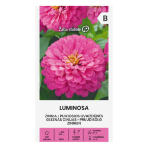Ζίννια λιλά Luminosa (hobby bag 1 γρ)