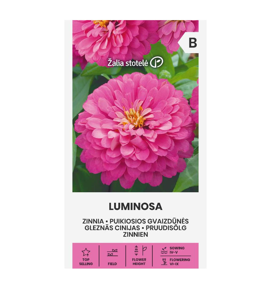 Ζίννια λιλά Luminosa (hobby bag 1 γρ) Ζίννια λιλά Luminosa (hobby bag 1 γρ)