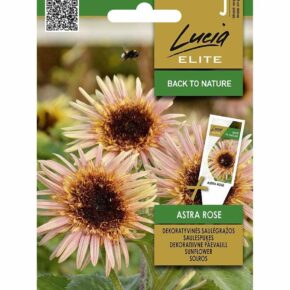 Ηλίανθος ψηλός ροζ Astra Rose (hobby bag 0,5 γρ)
