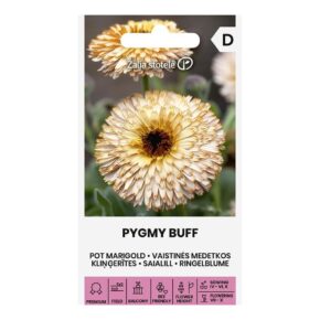 Καλέντουλα διπλή Pugmy Buff (hobby bag 0,5 γρ)
