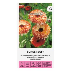 Καλέντουλα διπλή Sunset Buff (hobby bag 0,5 γρ)