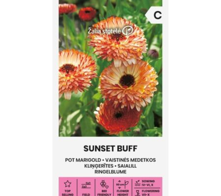 Καλέντουλα διπλή Sunset Buff (hobby bag 0,5 γρ)