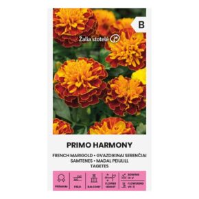 Κατιφές Primo Harmony (hobby bag 0,3 γρ)