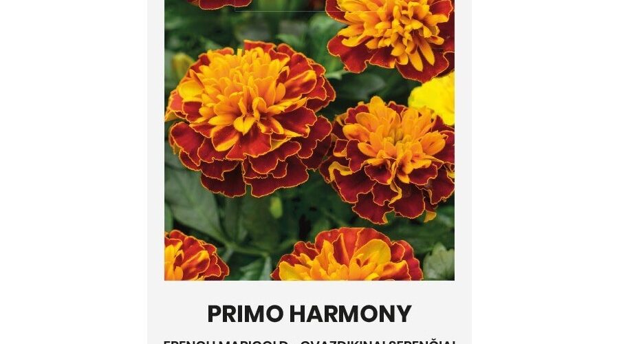 Κατιφές Primo Harmony (hobby bag 0,3 γρ)