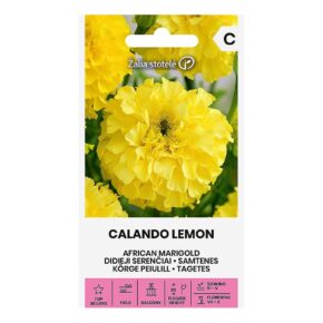 Κατιφές κίτρινος Calando Lemon (hobby bag 0,5 γρ)