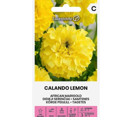 Κατιφές κίτρινος Calando Lemon (hobby bag 0,5 γρ)