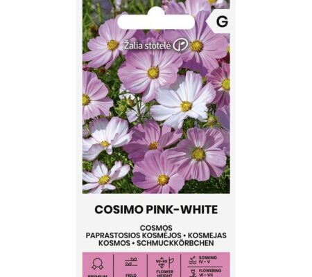 Κόσμος Cosimo pink - white (hobby bag 20 σπόρων)