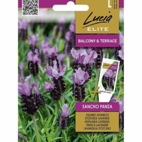 Λεβάντα Ισπανική Sancho Panza (hobby bag 20 σπόρων)