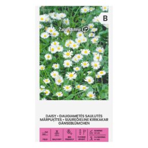 Μαργαρίτα άγρια White Singal (hobby bag 0,2 γρ)