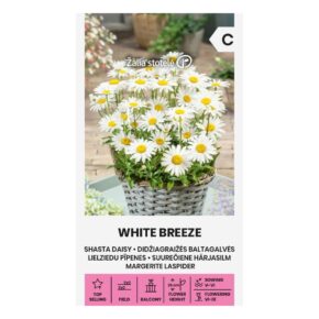 Μαργαρίτα λευκή White Breeze (hobby bag 0,2 γρ)
