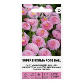 Μαργαρίτα ροζ Super enorma rose ball (hobby bag 0,2 γρ)