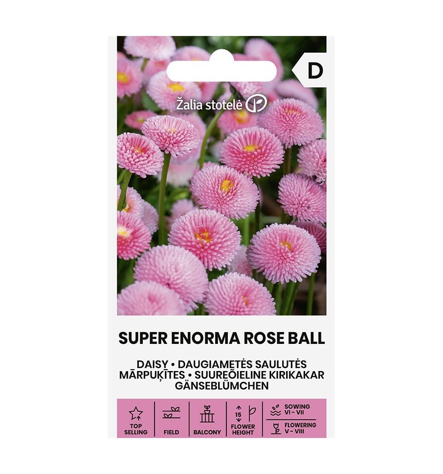 Μαργαρίτα ροζ Super enorma rose ball (hobby bag 0,2 γρ) Μαργαρίτα ροζ Super enorma rose ball (hobby bag 0,2 γρ)