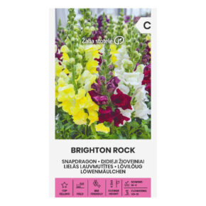 Σκυλάκι ψηλό Brighton Rock (hobby bag 0,5 γρ)