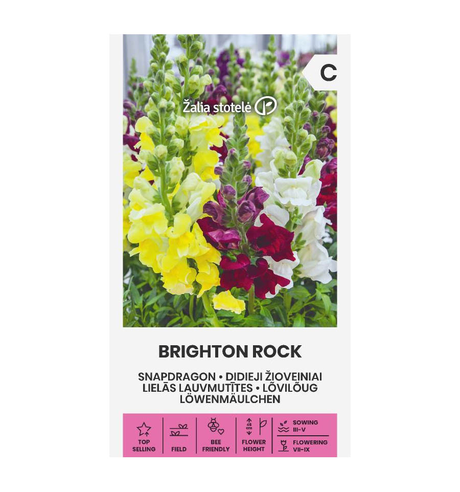 Σκυλάκι ψηλό Brighton Rock (hobby bag 0,5 γρ) Σκυλάκι ψηλό Brighton Rock (hobby bag 0,5 γρ)