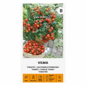 Τομάτα cherry νανάκι Vilma παραδοσιακή (hobby bag 0,2 γρ)