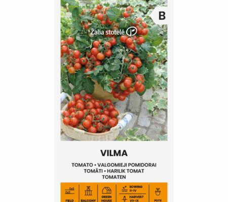 Τομάτα cherry νανάκι Vilma παραδοσιακή (hobby bag 0,2 γρ)