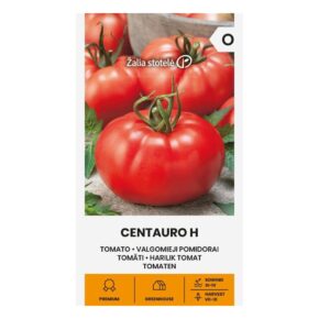 Τομάτα αναρριχώμενη Centauro υβρίδιο (hobby bag 10 σπόρων)