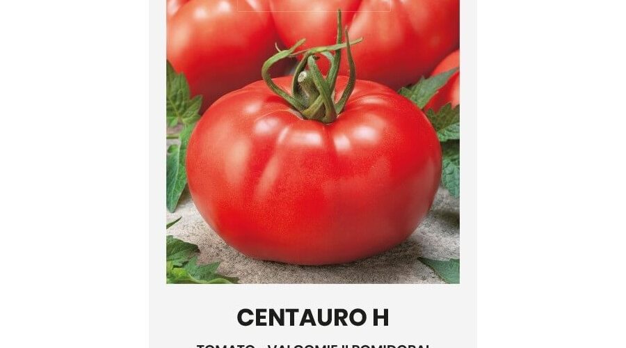 Τομάτα αναρριχώμενη Centauro υβρίδιο (hobby bag 10 σπόρων)