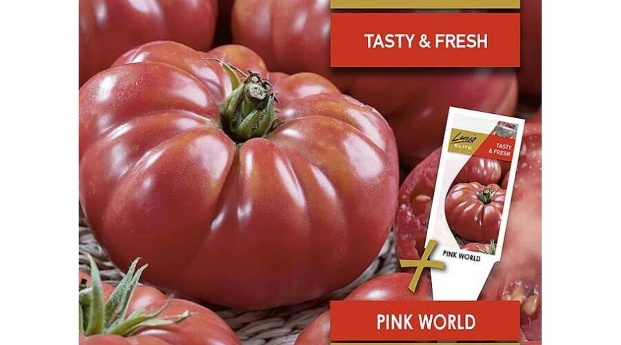 Τομάτα αναρριχώμενη Pink World παραδοσιακή (hobby bag 10 σπόρων)