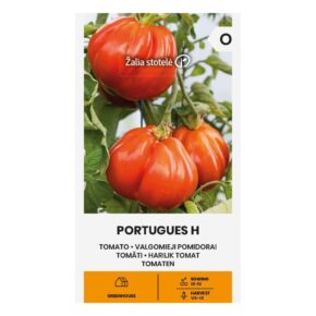 Τομάτα αναρριχώμενη Portugues υβρίδιο (hobby bag 10 σπόρων)