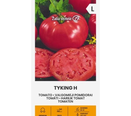 Τομάτα χαμηλή Tyking υβρίδιο (hobby bag 15 σπόρων)