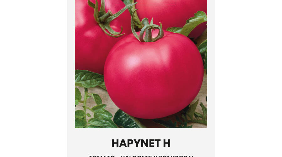 Τομάτα χαμηλή ροζ Hapynet υβρίδιο (hobby bag 10 σπόρων)