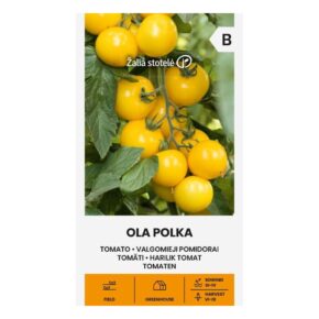 Τομάτα νανάκι κίτρινη Ola Polka παραδοσιακή (hobby bag 0,1 γρ)