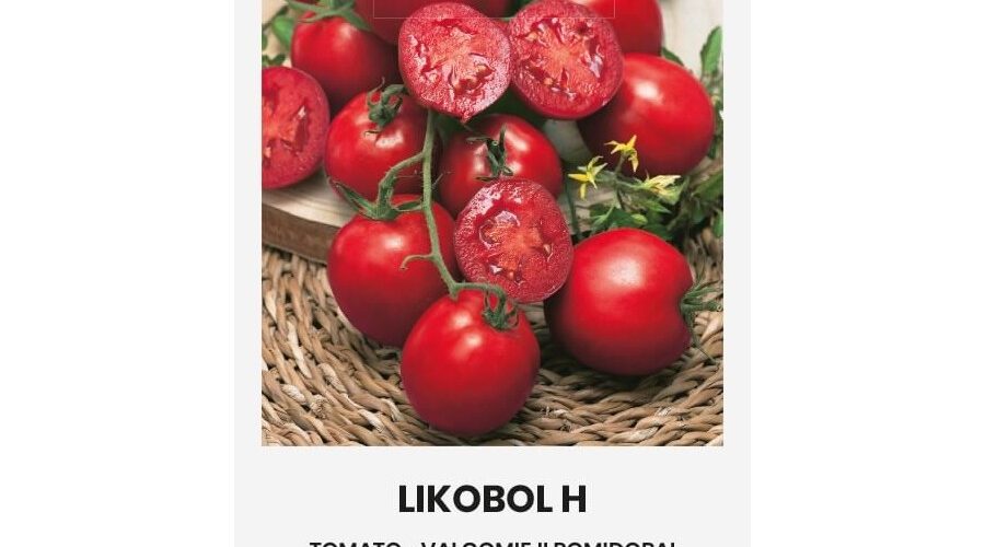 Τομάτα χαμηλή Likobol υβρίδιο (hobby bag 10 σπόρων)