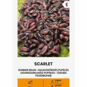 Φασόλι αναρριχώμενο Scarlet παραδοσιακό (hobby bag 10 γρ)